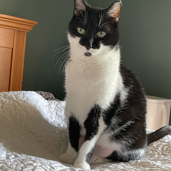 Meet your Posher, Krissy! - Picture 10 of 14